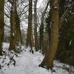 Snow