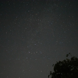 Night